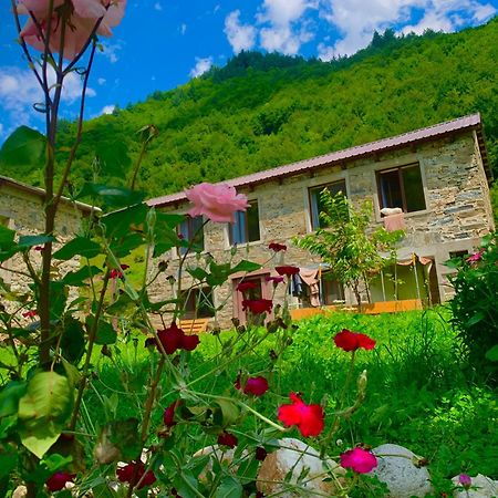 River Side Svaneti Mestia Eksteriør bilde